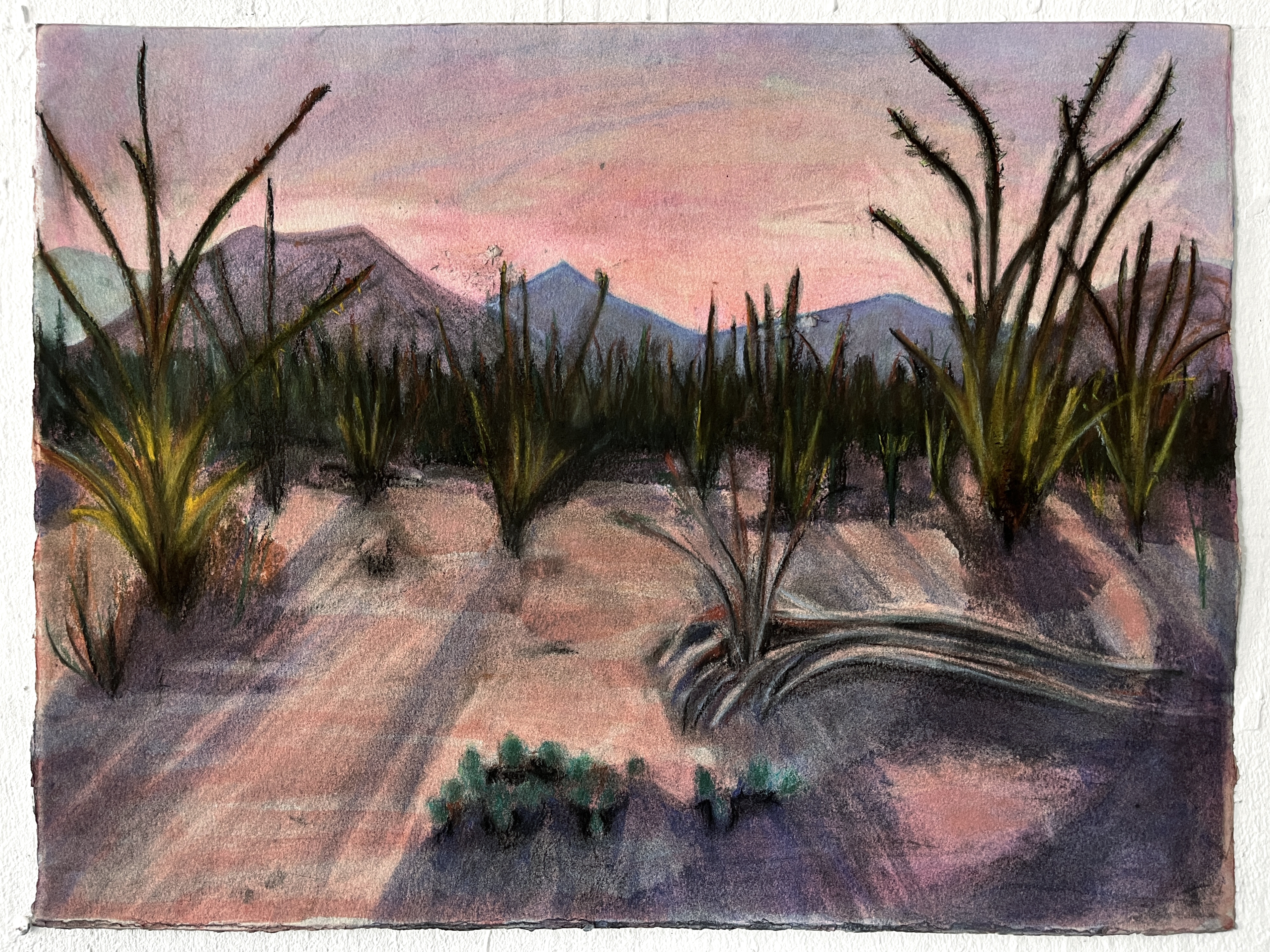 Sunrise Glow, 20x27_, ink, charcoal, soft pastel on watercolor paper, 2025, AVAILABLE